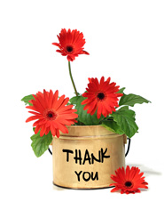 Thank you flower pot